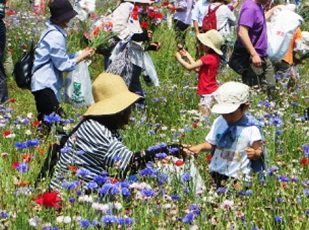 5月の風！頬を撫でゆく中高年出会い